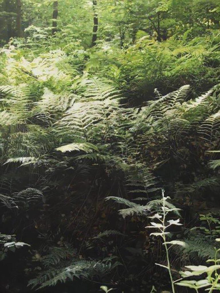 Artwork by Stephan Kaluza at Hotel THE WELLEM Düsseldorf