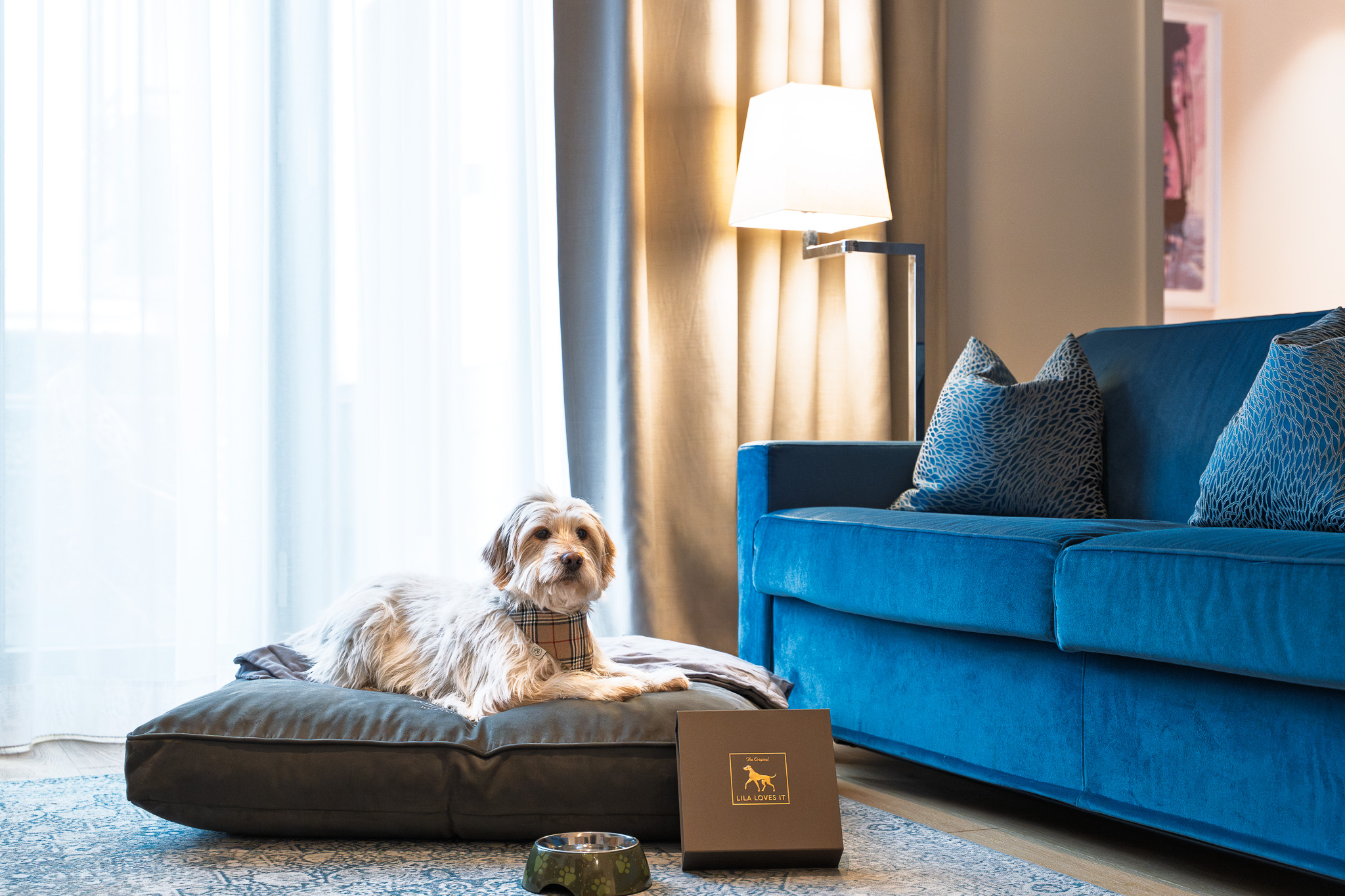Hund im Luxushotel The Wellem in Düsseldorf – vierbeiniger Gast entspannt auf hochwertigem Hundebett mit Wolldecke, Futternapf und exklusiver LILA LOVES IT Welcome-Box, vorbereitet für einen durchdachten Aufenthalt mit Hund.